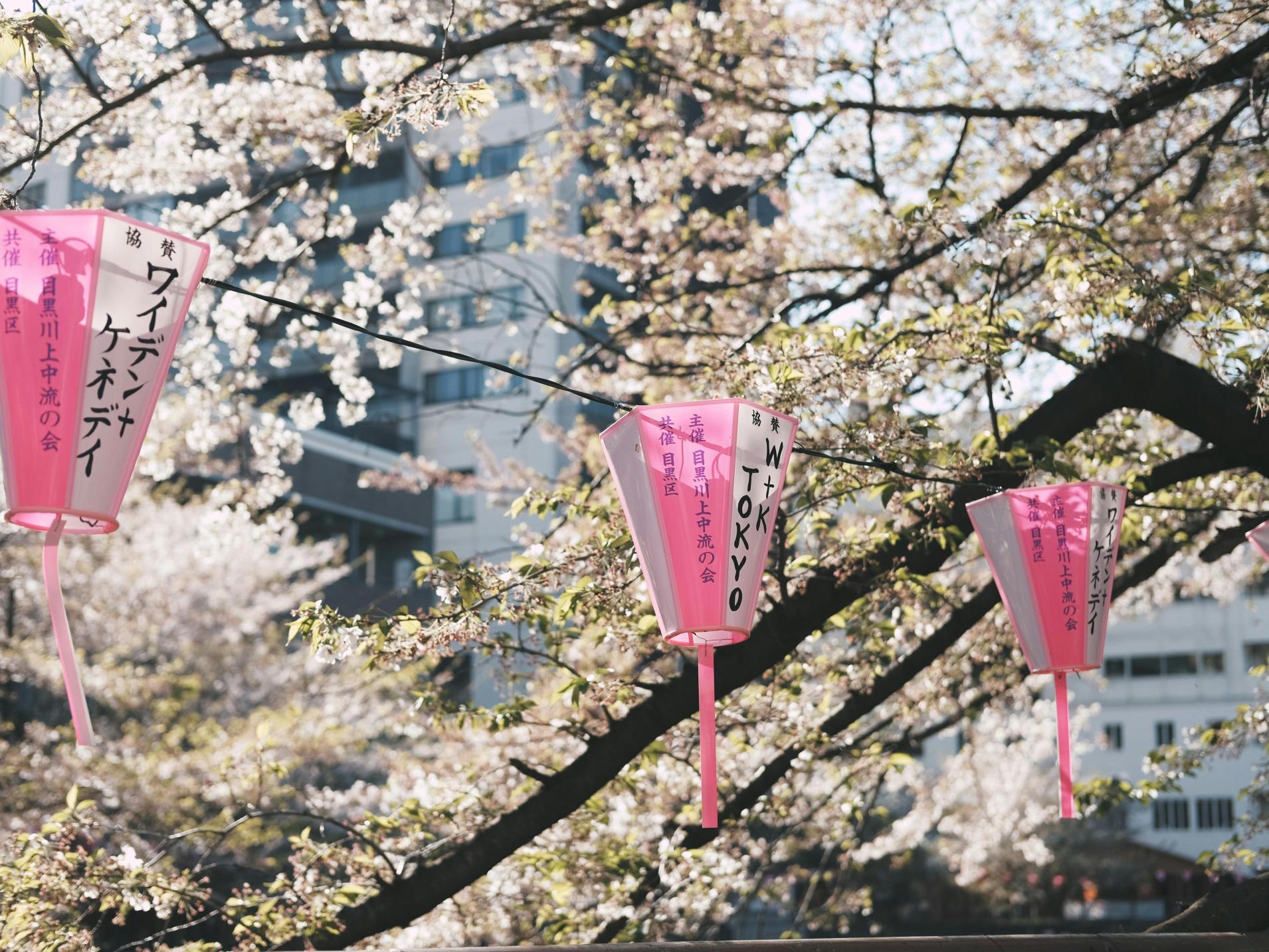 Tokyo and Kyoto (sans flyer)